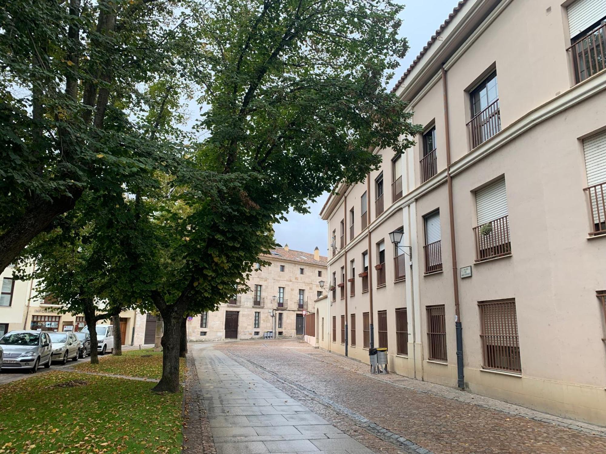 Junto A La Catedral, Con Parking Privado Gratis Apartment Zamora Bagian luar foto